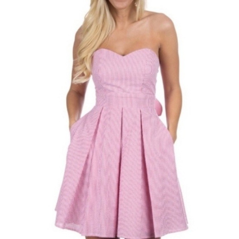 Lauren James Corbin Dress Pink Gingham Size Large Brand New